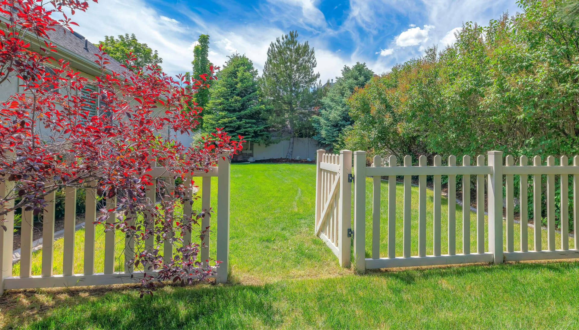 A functional fence gate providing access to a well-maintained backyard, surrounded by a wooden fence in San Antonio